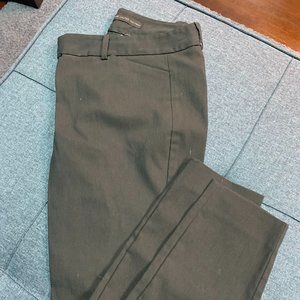 Limited Brown Dress Pants